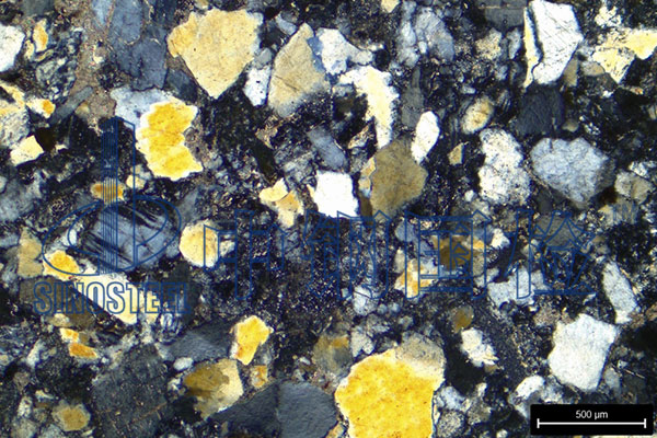 石子堿活性檢驗周期是多少天 石子堿活性檢測報告