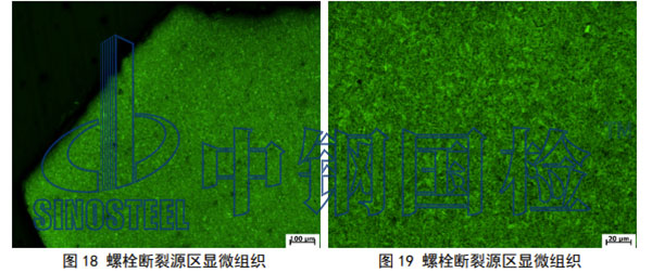 金相組織檢驗(yàn)結(jié)果